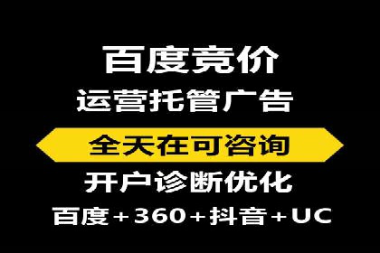 搜索引擎优化（SEO）与竞价广告（SEM）的对比案例